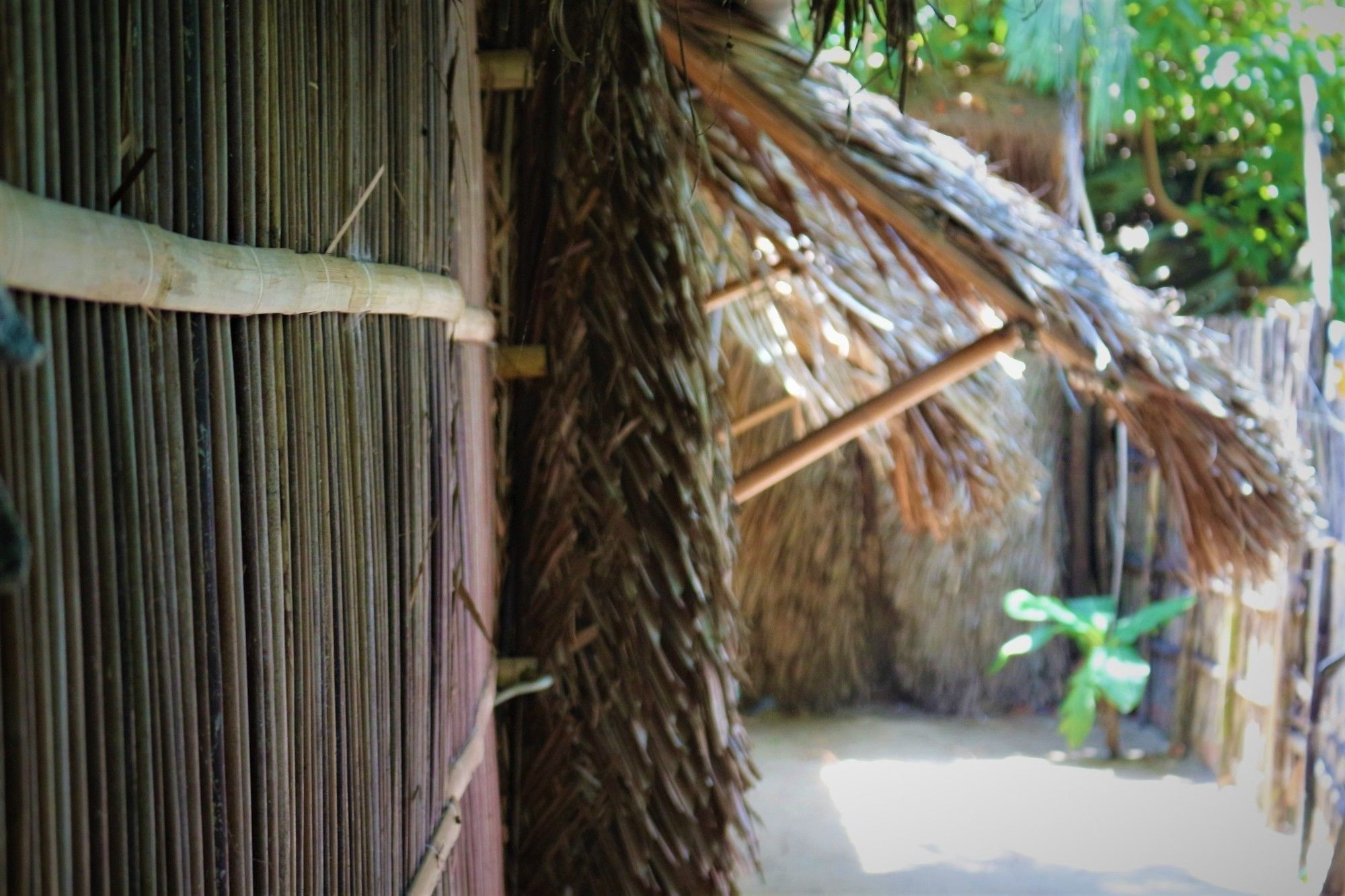 会安 Under The Coconut Tree酒店 外观 照片