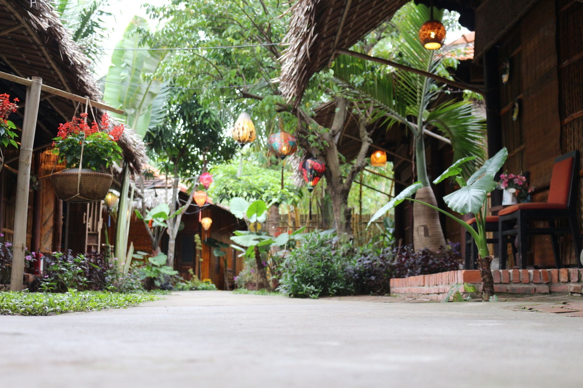 会安 Under The Coconut Tree酒店 外观 照片