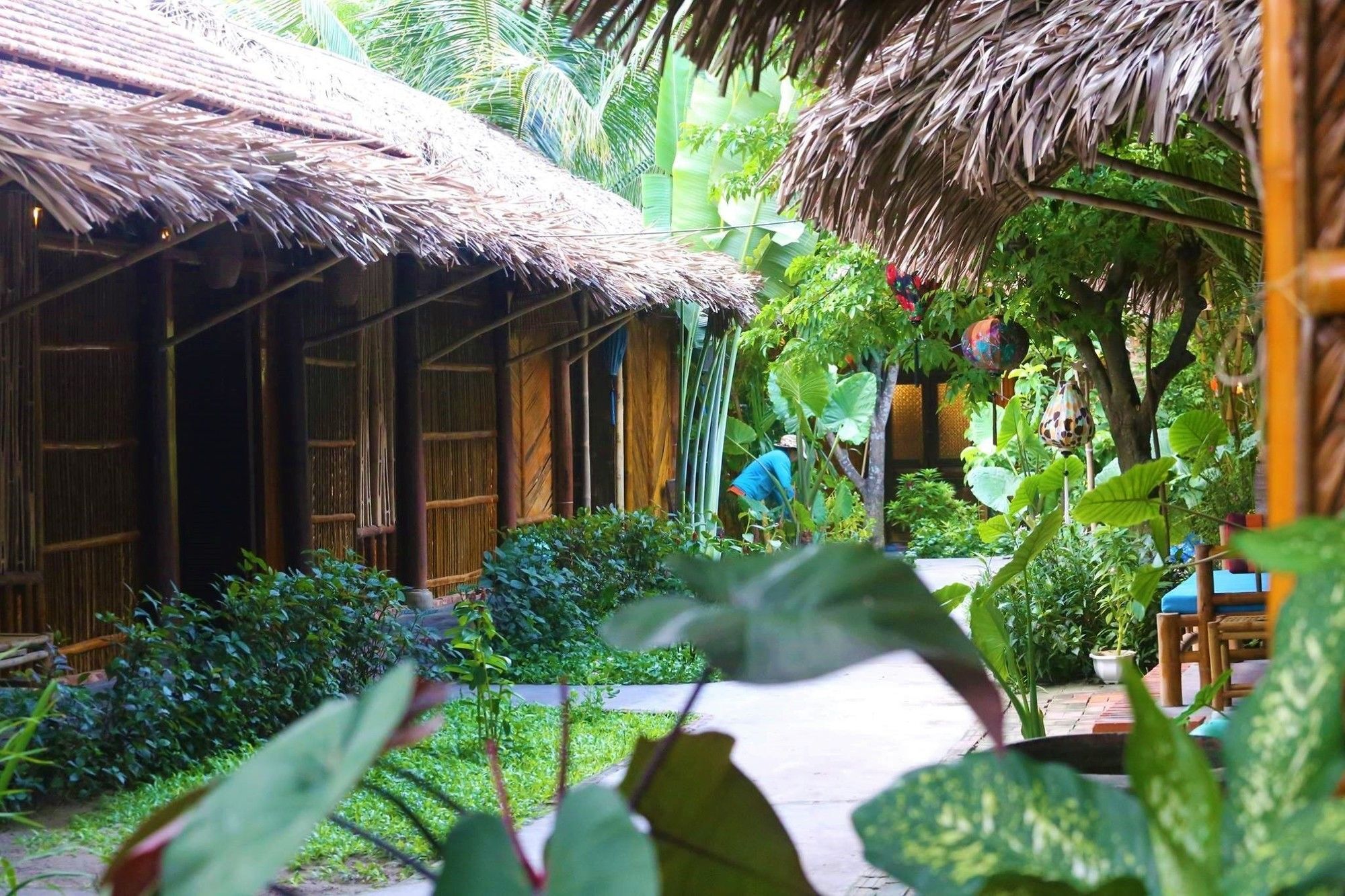 会安 Under The Coconut Tree酒店 外观 照片