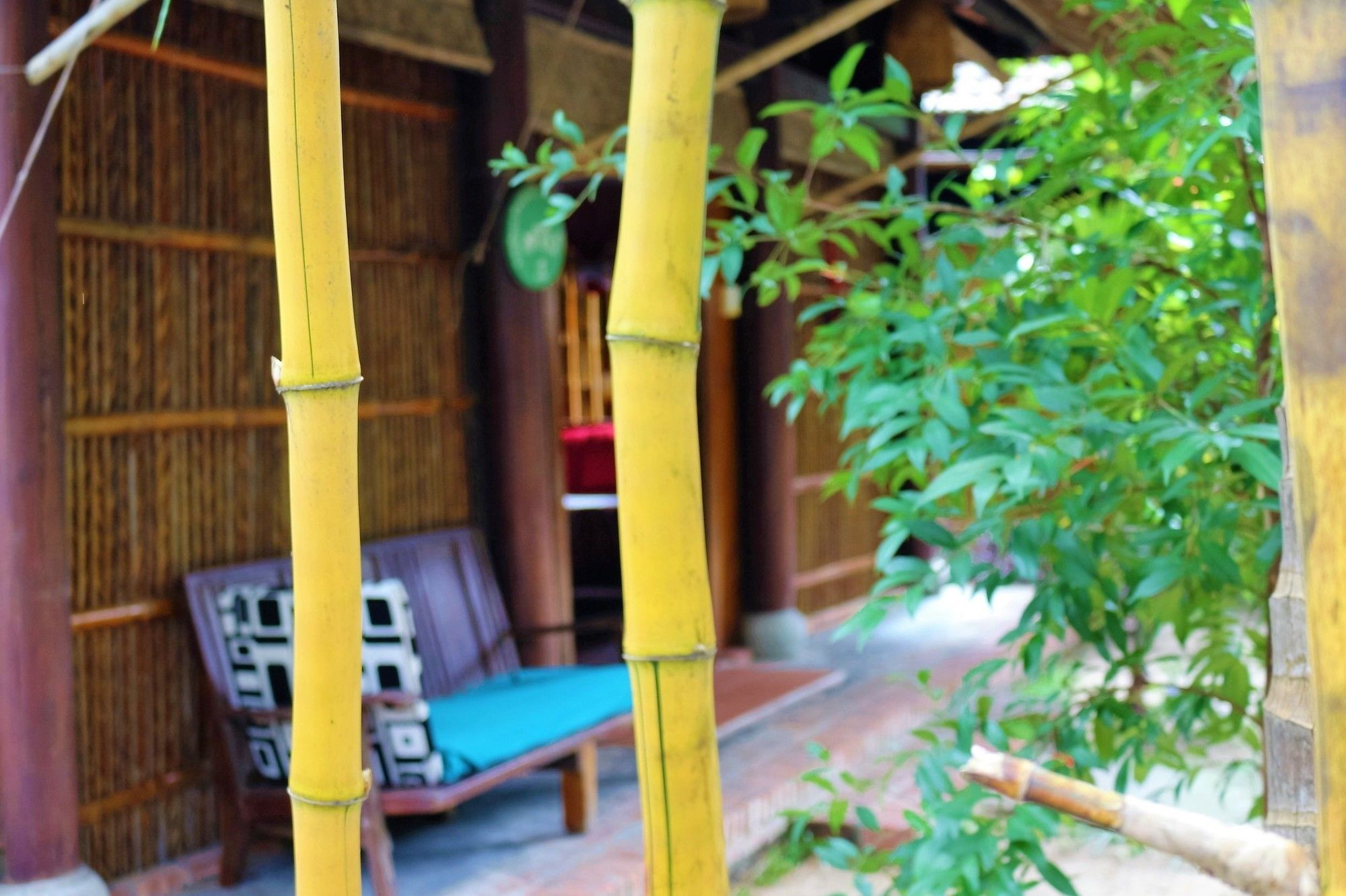会安 Under The Coconut Tree酒店 外观 照片